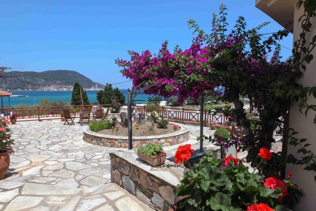 Pleoussa Studio&Apartments Skopelos Extérieur photo